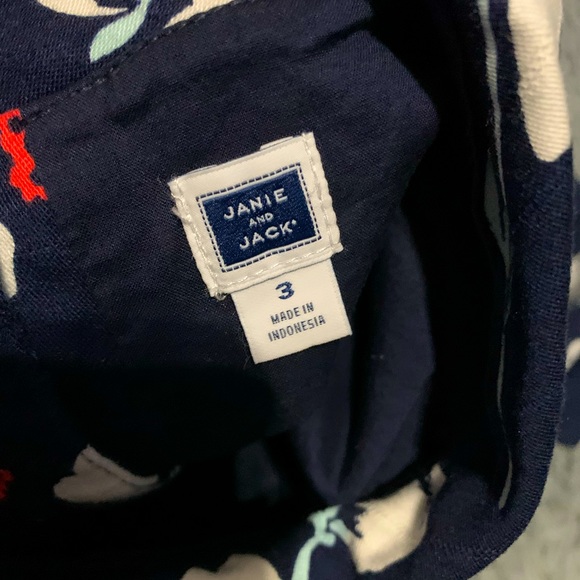 Janie and Jack dress 3T - Picture 3 of 3